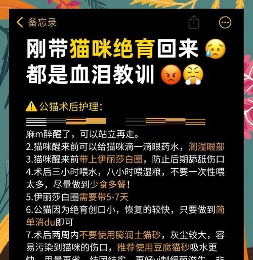 带猫去绝育的费用和注意事项是什么？