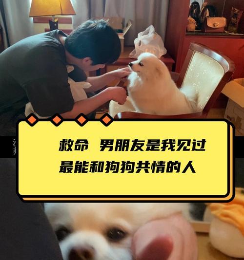 一人养两犬，你会做到吗（男子养宠物）