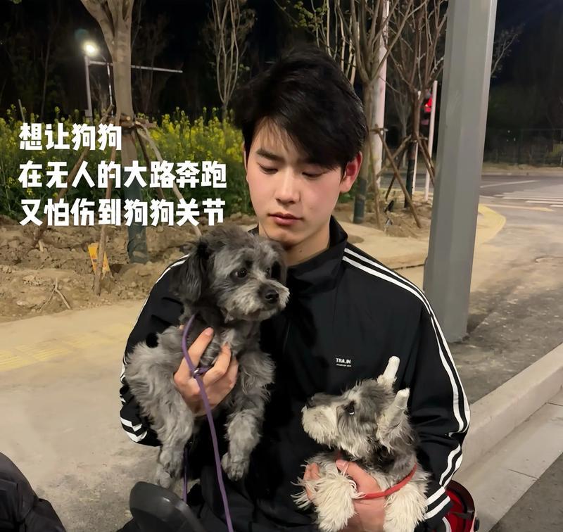 一人养两犬，你会做到吗（男子养宠物）