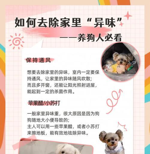 狗狗味道很重怎么消除？有效的方法是什么？