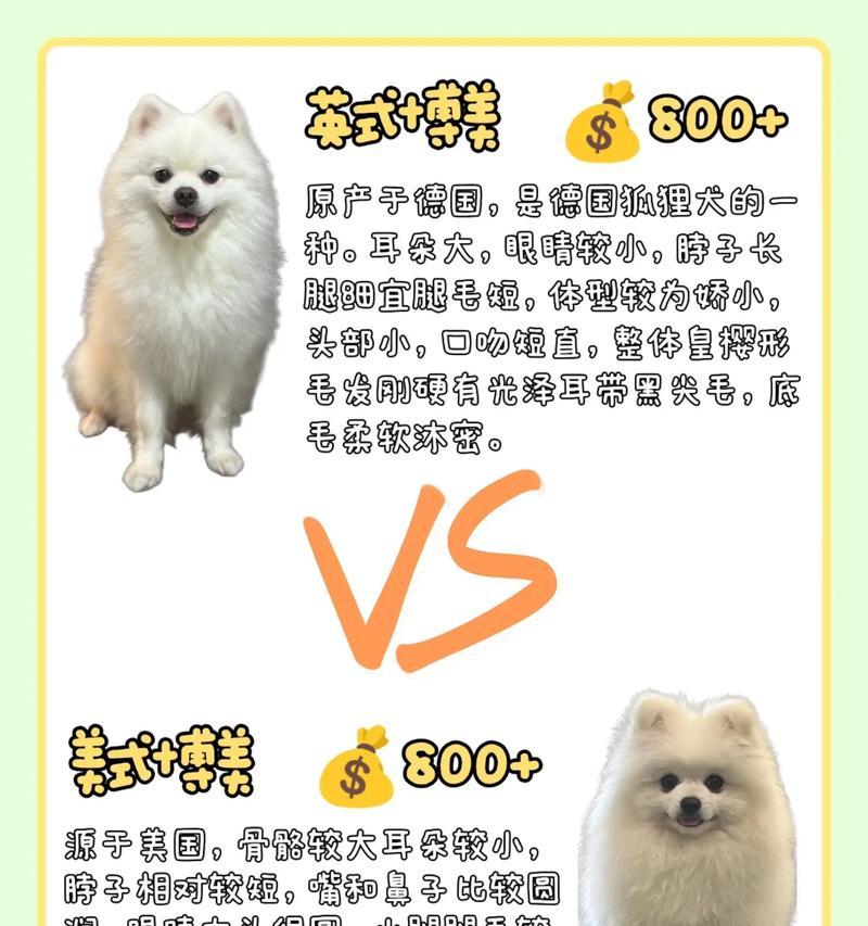 博美犬理想的肩高是多少？肩高对训练有何影响？
