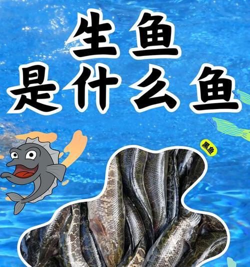 观赏鱼出现生鱼征兆是什么?如何预防和处理? 观赏鱼出现生鱼征兆是什么?如何预防和处理?