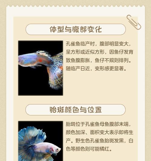 观赏鱼出现生鱼征兆是什么?如何预防和处理? 观赏鱼出现生鱼征兆是什么?如何预防和处理?