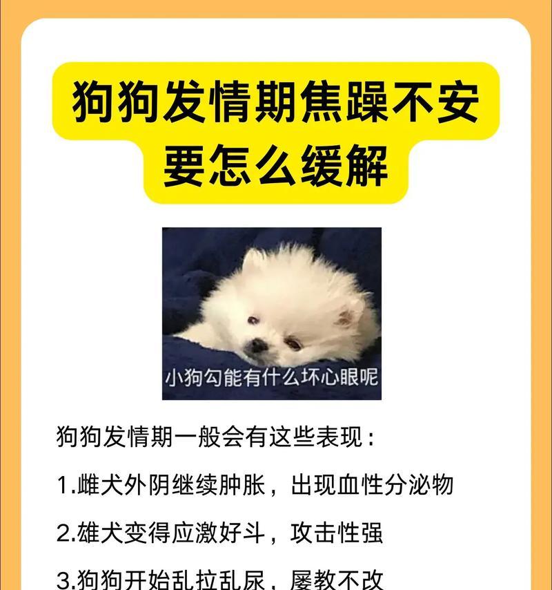 狗狗焦虑紧张的原因是什么？