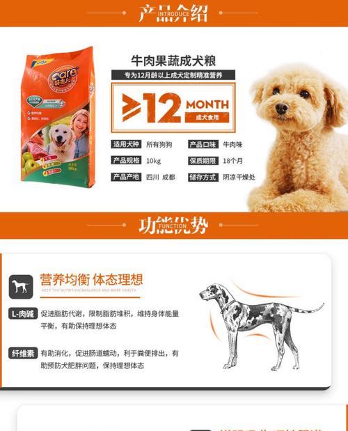 如何为金毛犬在2个月内科学喂养（从狗粮的选择到饮食规律）