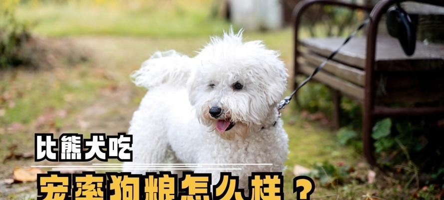 如何科学喂养比熊幼犬（以宠物为主）