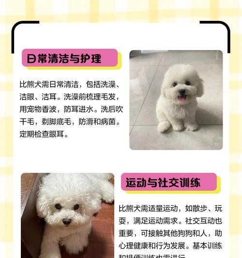 比熊犬修剪毛发的费用是多少？