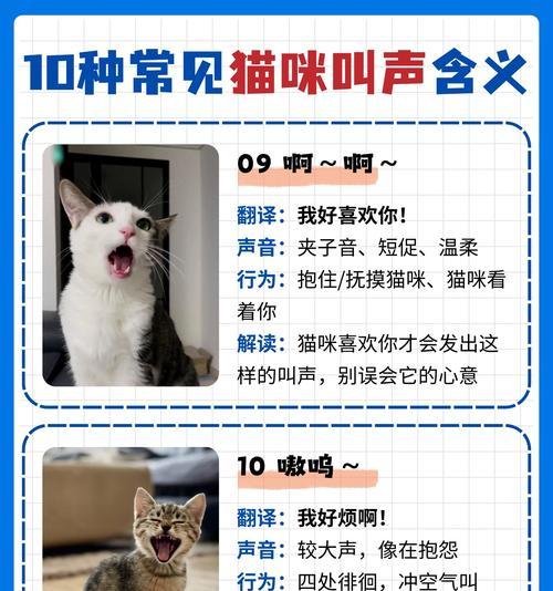 公猫叫小猫听声音很大怎么回事?这是什么原因导致的? 公猫叫小猫听声音很大怎么回事?这是什么原因导致的?