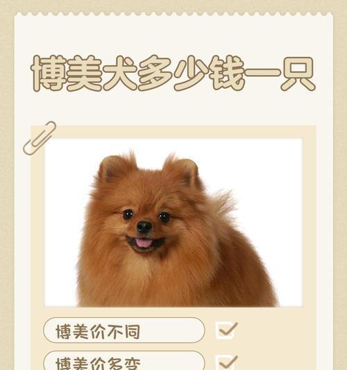 黑金纯种博美犬的价格是多少? 黑金纯种博美犬的价格是多少?
