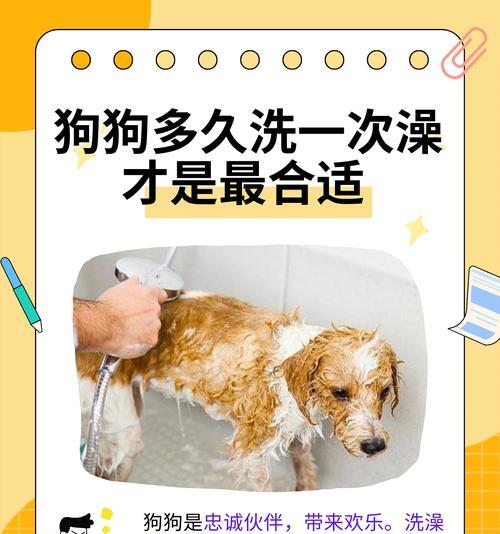狗狗不喝水的后果（一天不喝水）