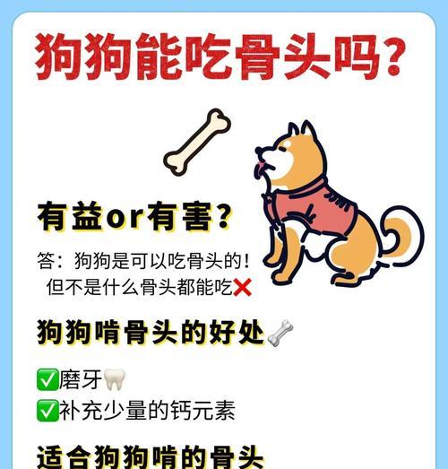中华田园犬何时可以开始吃骨头?吃骨头的好处是什么? 中华田园犬何时可以开始吃骨头?吃骨头的好处是什么?