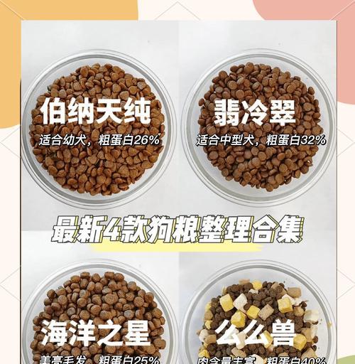 萨摩耶犬的狗粮摄入量究竟是多少（如何确定萨摩耶犬所需的狗粮摄入量）