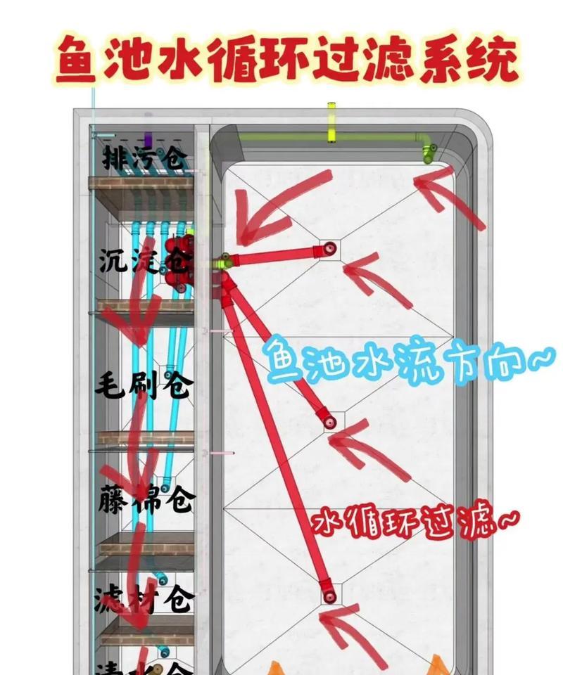 锦鲤鱼池怎么换水？换水时需要注意哪些事项？