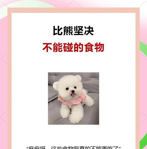 成年比熊犬每天应该吃多少食物?如何合理喂食? 成年比熊犬每天应该吃多少食物?如何合理喂食?