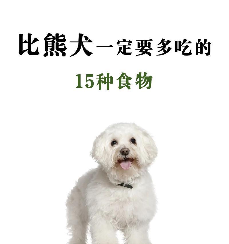成年比熊犬每天应该吃多少食物?如何合理喂食? 成年比熊犬每天应该吃多少食物?如何合理喂食?