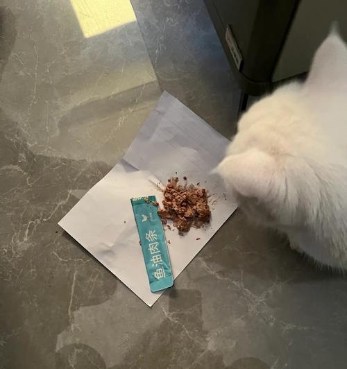 小猫咪驱虫前为什么要禁食（宠物健康从“餐”开始）