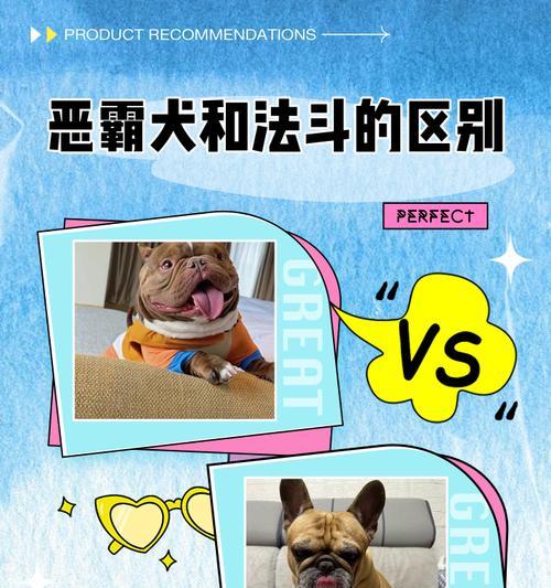 如何训练3个月的恶霸犬（宠物养护之路）
