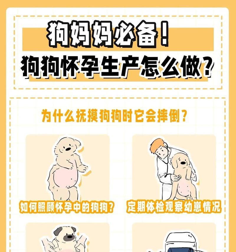 狗狗生育过程是怎样的？