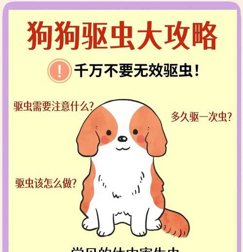 狗狗身上发现虫子应该怎么办？有哪些安全的驱虫方法？