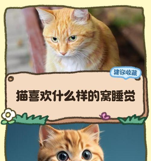 小猫在被子里面想什么?猫咪喜欢钻被窝的心理分析是什么? 小猫在被子里面想什么?猫咪喜欢钻被窝的心理分析是什么?