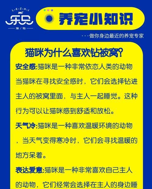 小猫在被子里面想什么?猫咪喜欢钻被窝的心理分析是什么? 小猫在被子里面想什么?猫咪喜欢钻被窝的心理分析是什么?