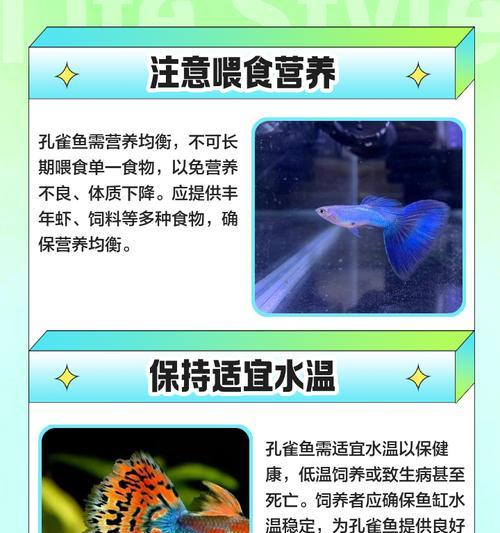 冬天孔雀鱼需要保暖吗?保暖有什么好处? 冬天孔雀鱼需要保暖吗?保暖有什么好处?