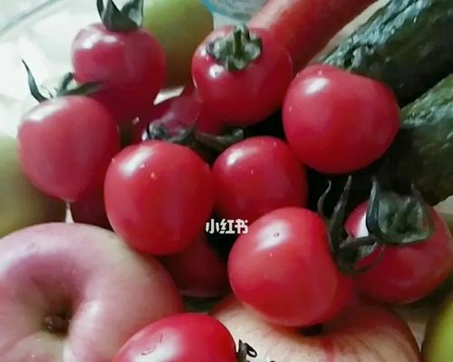 宠物小狗吃了防腐剂的问题(防腐剂对小狗健康的影响和处理方法) 宠物小狗吃了防腐剂的问题(防腐剂对小狗健康的影响和处理方法)