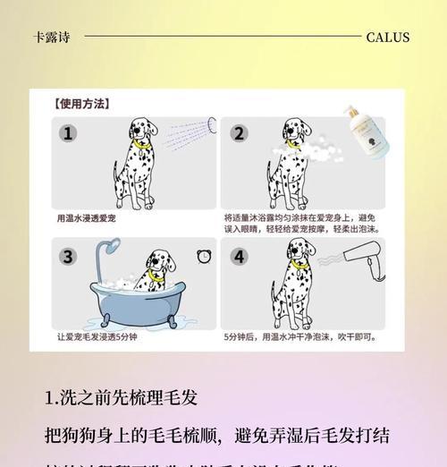 狗狗日常清洁应如何进行？清洁狗狗有哪些注意事项？