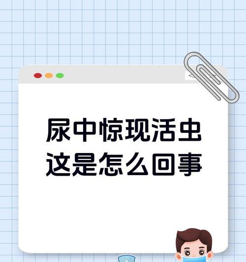 宠物狗狗的撒尿里竟然有虫！该如何解决（狗狗身体健康需重视）