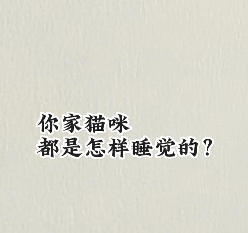 小猫很会睡觉，怎么办（宠物睡眠健康的管理方法）
