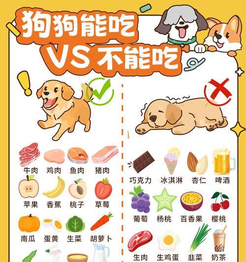 狗狗毛色浅如何改善？吃什么食物有帮助？