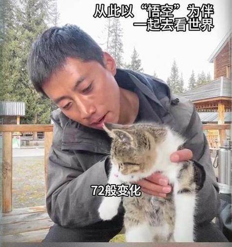 怎么照顾小猫在猫咪死后（宠物猫咪离世后如何继续照顾小猫）