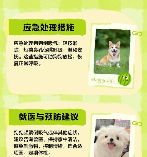 狗狗吸入氦气后会有什么反应？如何预防和处理？
