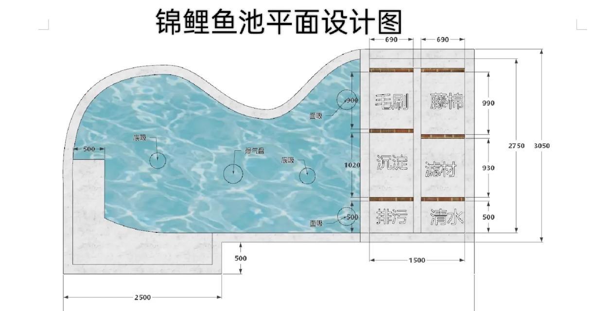 1.3米锦鲤鱼池的设计方案是什么？设计锦鲤鱼池需要注意什么？