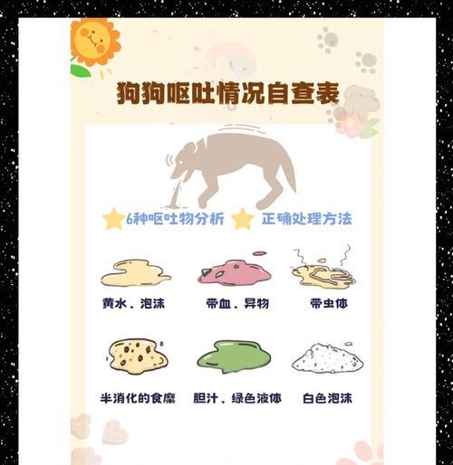 狗狗呕吐的原因是什么？如何处理狗狗呕吐的情况？