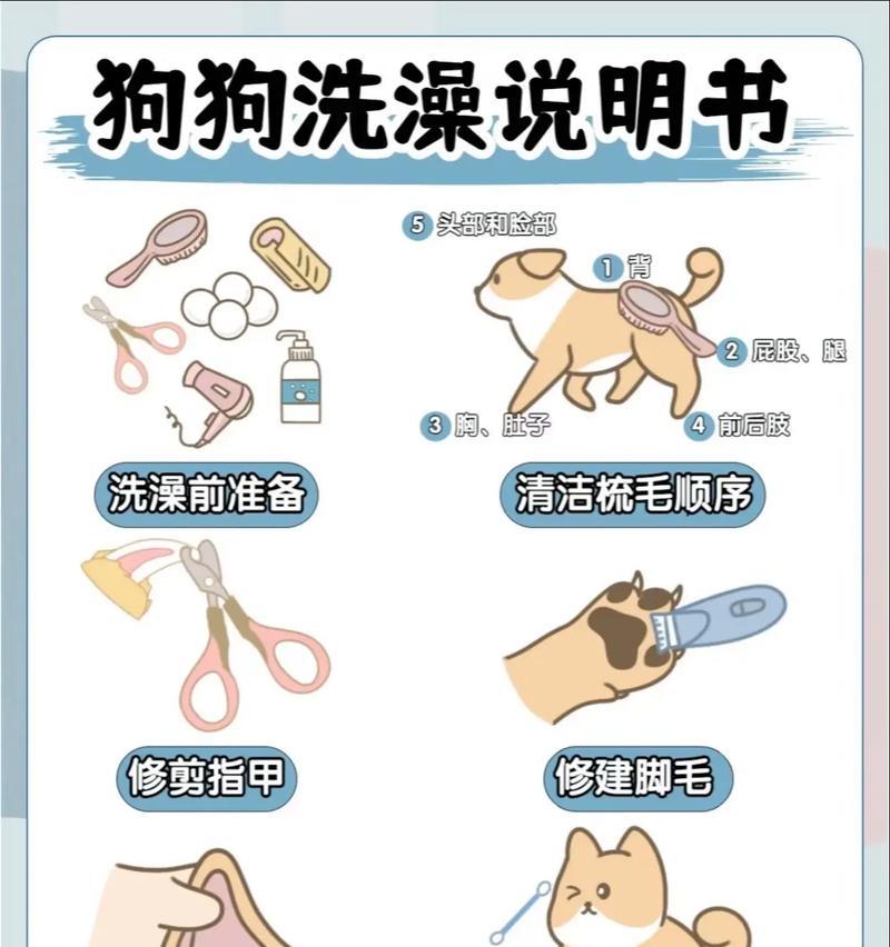 怎么让博美犬乖乖洗澡呢？有哪些方法可以让博美犬喜欢洗澡？