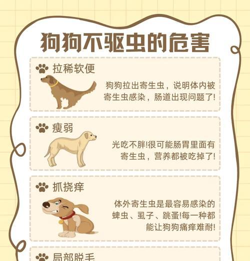 狗狗身上为什么会有虫？如何预防和处理？