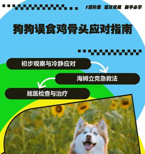 博美犬吃鸡骨头会有什么后果？如何预防宠物误食？