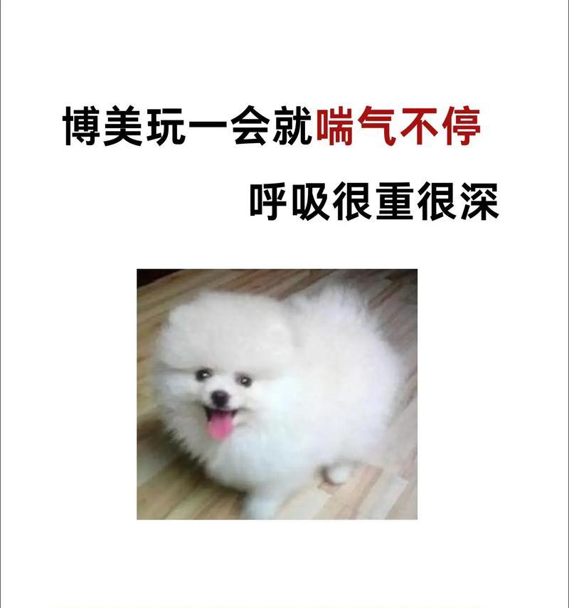 狗狗喘气急促是生病了吗? 狗狗喘气急促是生病了吗?