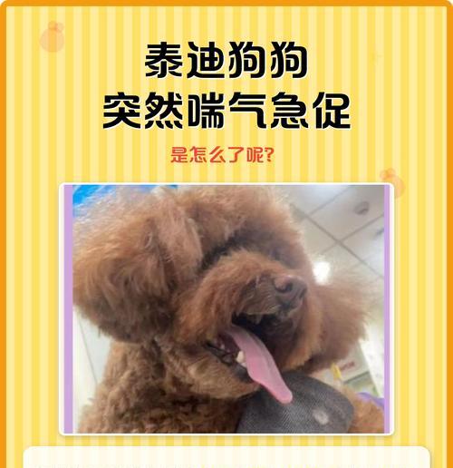 狗狗喘气急促是生病了吗？