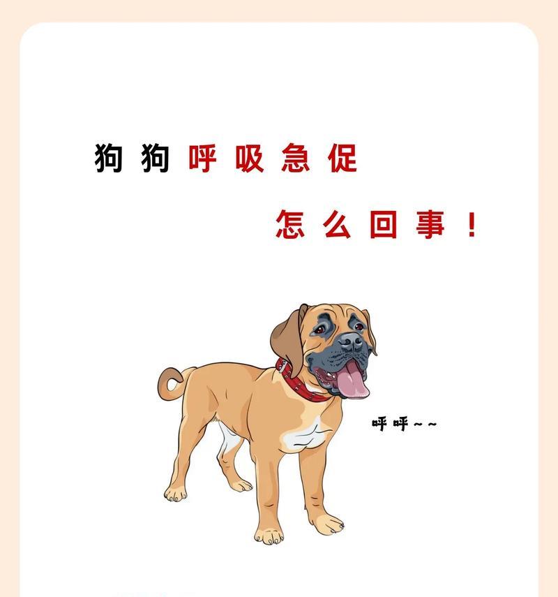 狗狗喘气急促是生病了吗? 狗狗喘气急促是生病了吗?