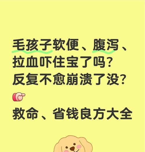为什么狗狗喝完药会拉稀(探究药品对狗狗的影响及预防方法) 为什么狗狗喝完药会拉稀(探究药品对狗狗的影响及预防方法)