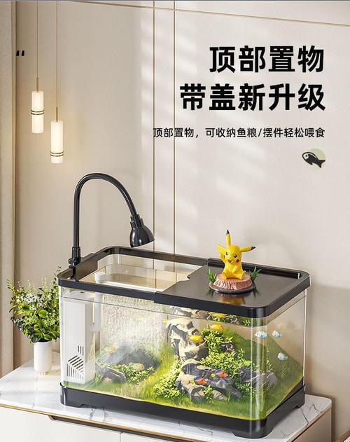 塑料鱼缸对鱼有哪些潜在危害？如何选择更安全的鱼缸？