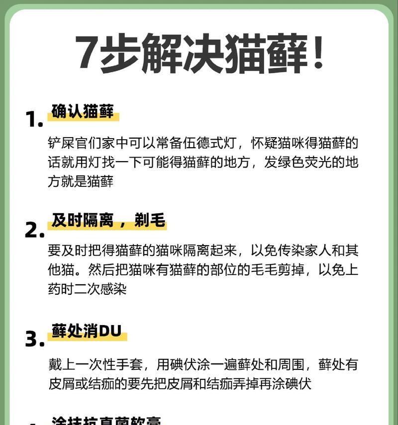 探究猫藓症状、治疗与预防