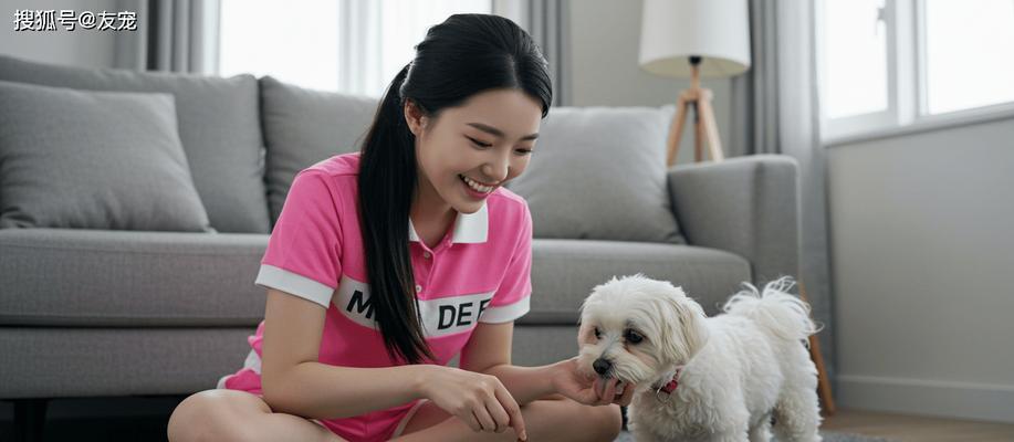 狗狗发情如何控制？有哪些有效的方法？