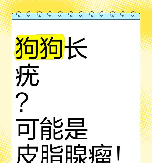 狗狗长疣了怎么办？狗狗的名字怎么取？