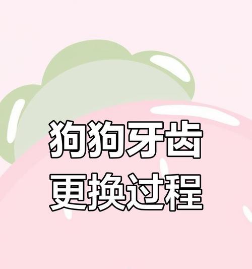 狗狗换牙期需要注意哪些事项？如何帮助它们顺利换牙？