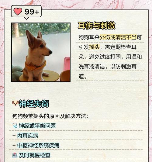 狗狗频繁甩头是何原因？