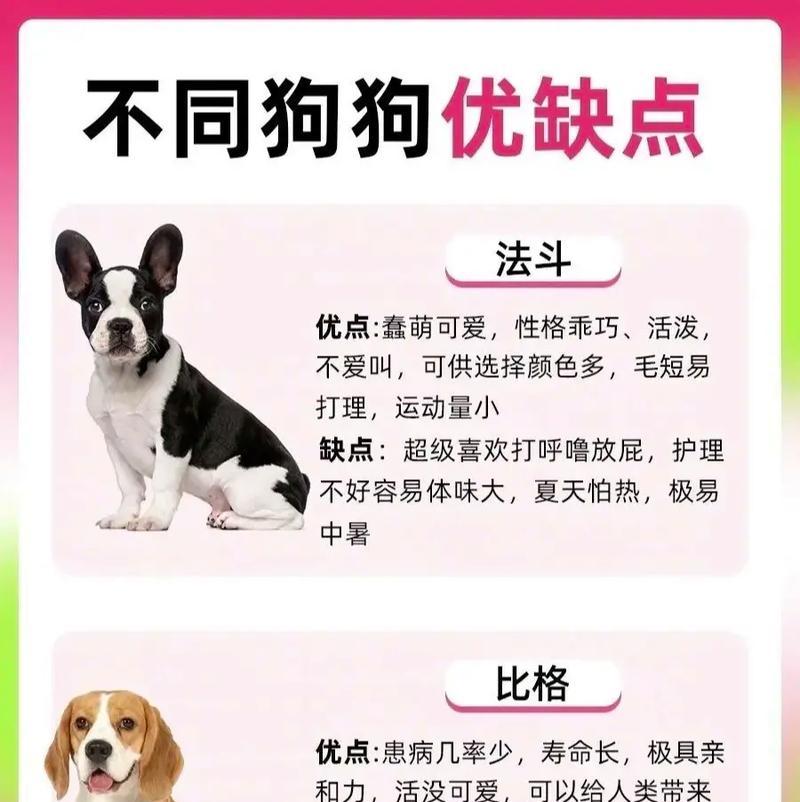 狗狗通常不喜欢什么？如何了解狗狗的喜好？