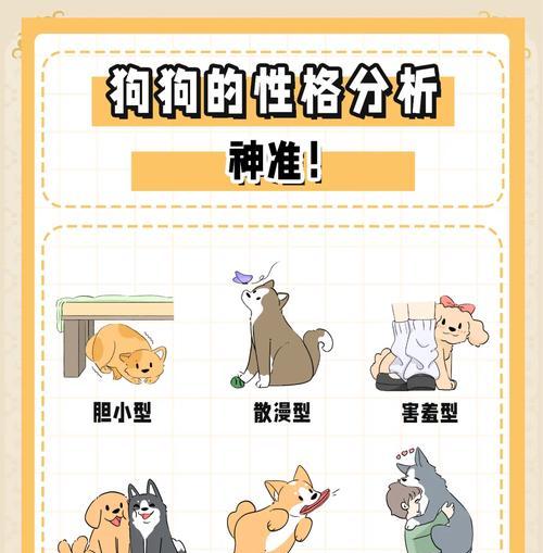 狗狗通常不喜欢什么?如何了解狗狗的喜好? 狗狗通常不喜欢什么?如何了解狗狗的喜好?